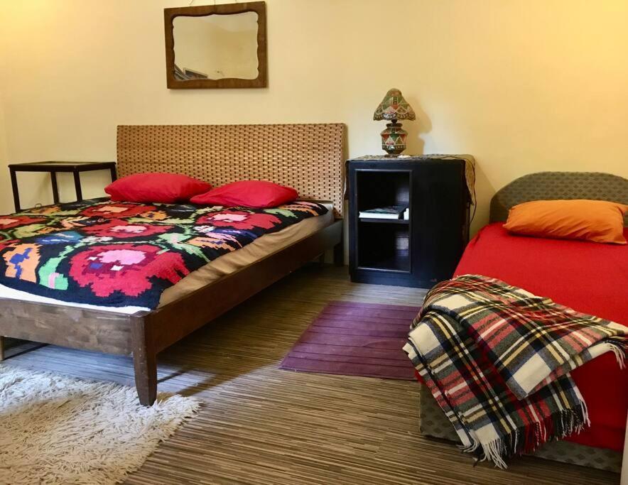 Vintage Studio Apartment, Garden And Free Parking Budapeste Exterior foto