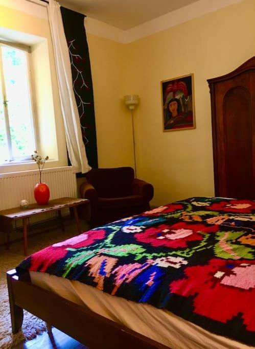 Vintage Studio Apartment, Garden And Free Parking Budapeste Exterior foto