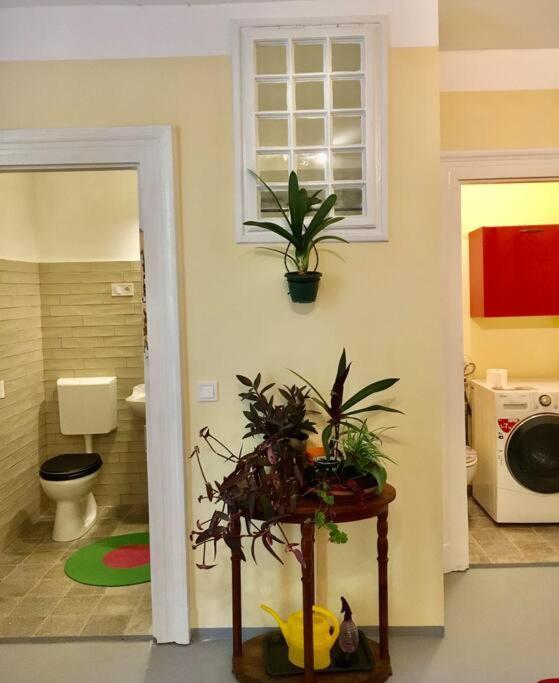Vintage Studio Apartment, Garden And Free Parking Budapeste Exterior foto