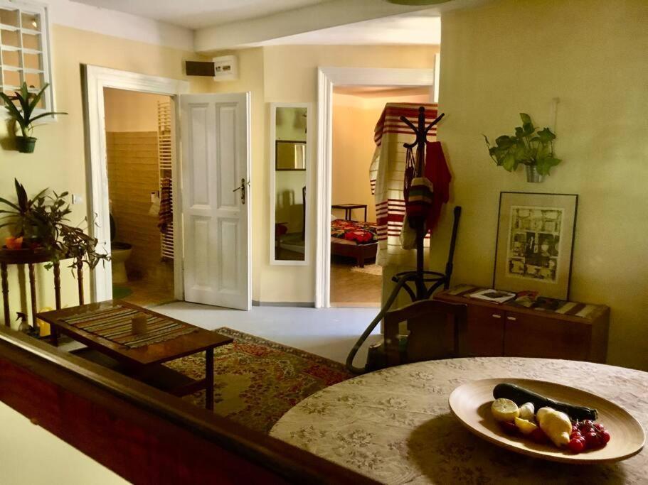 Vintage Studio Apartment, Garden And Free Parking Budapeste Exterior foto