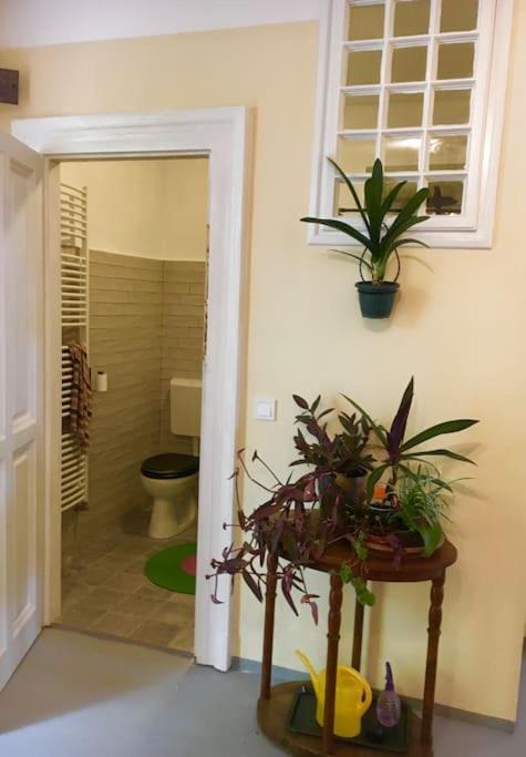 Vintage Studio Apartment, Garden And Free Parking Budapeste Exterior foto